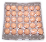 Bath Eggs in a Tray- Tangerine & Grapefruit