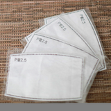 PM2.5 Face Mask Filter Insert (Children)