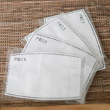 PM2.5 Face Mask Filter Insert (Children)