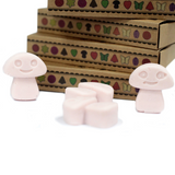 Box of 6  Wax Melts - Dark Sandalwood