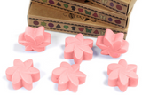 Box of 6  Wax Melts -  Japanese Magnolia