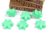 Box of 6  Wax Melts - Hidden Garden