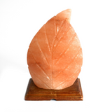 Shape Salt Lamp - Fern