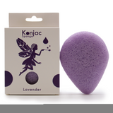 Teardrop Konjac Sponge - Lavender - Calming