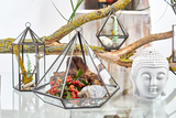 Glass Terrarium - Lantern Shape