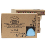 Box of 6 Wax Melts - Dewberry