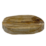 Petrified Wood Brown Soap Dish