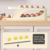 2 Tier Egg Dispenser Auto Rolling Egg Holder Refrigerator Rolldown Storage Rack