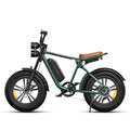 ENGWE M20 13Ah 750W 20*4.0 Fat Tire Electric Bike 60-75km Mileage Range E Bike for Mountain Snowfield Road