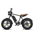 ENGWE M20 13Ah 750W 20*4.0 Fat Tire Electric Bike 60-75km Mileage Range E Bike for Mountain Snowfield Road