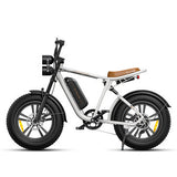 ENGWE M20 13Ah 750W 20*4.0 Fat Tire Electric Bike 60-75km Mileage Range E Bike for Mountain Snowfield Road