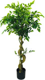 Artificial Ficus Tree With Twisted Trunk 137cm